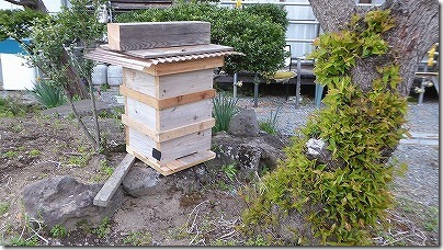 蜜蜂の捕獲