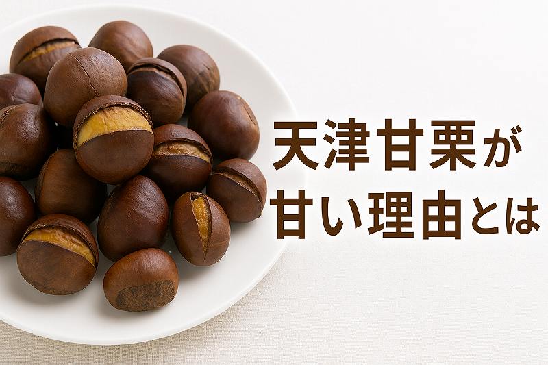 天津甘栗が甘い理由